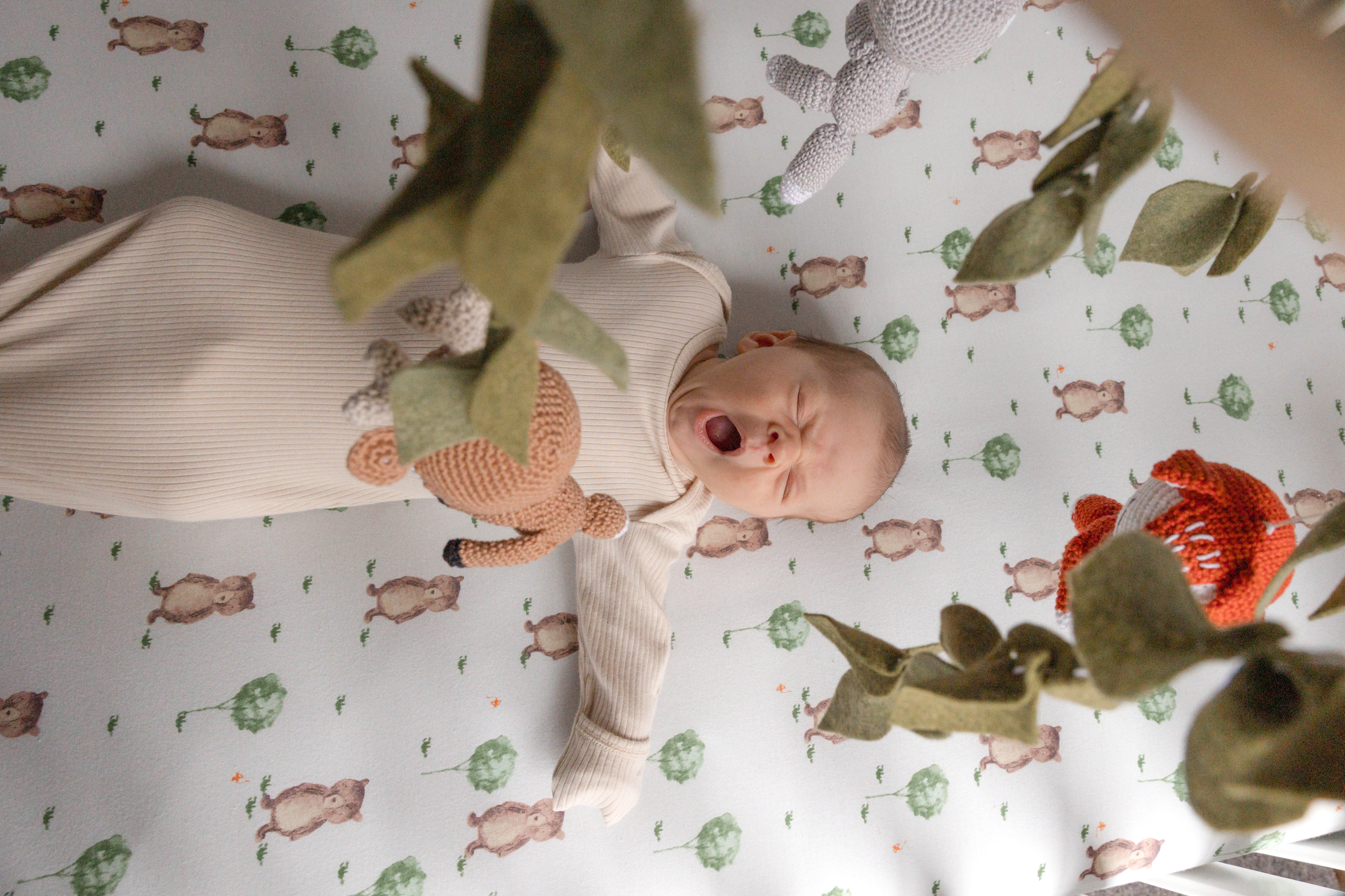 baby yawning before a long nap; newborn photography in strongsville, brunswick ohio
